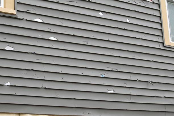 Best Siding Removal and Disposal  in Bertsch Oceanview, CA